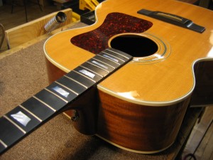 Fretboard replacement / inlay