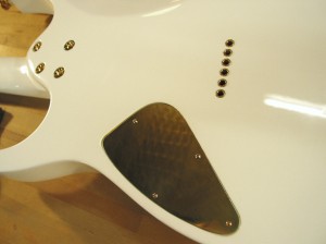 Ibanez Refin