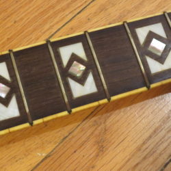 National Guitar Resoglas Fingerboard